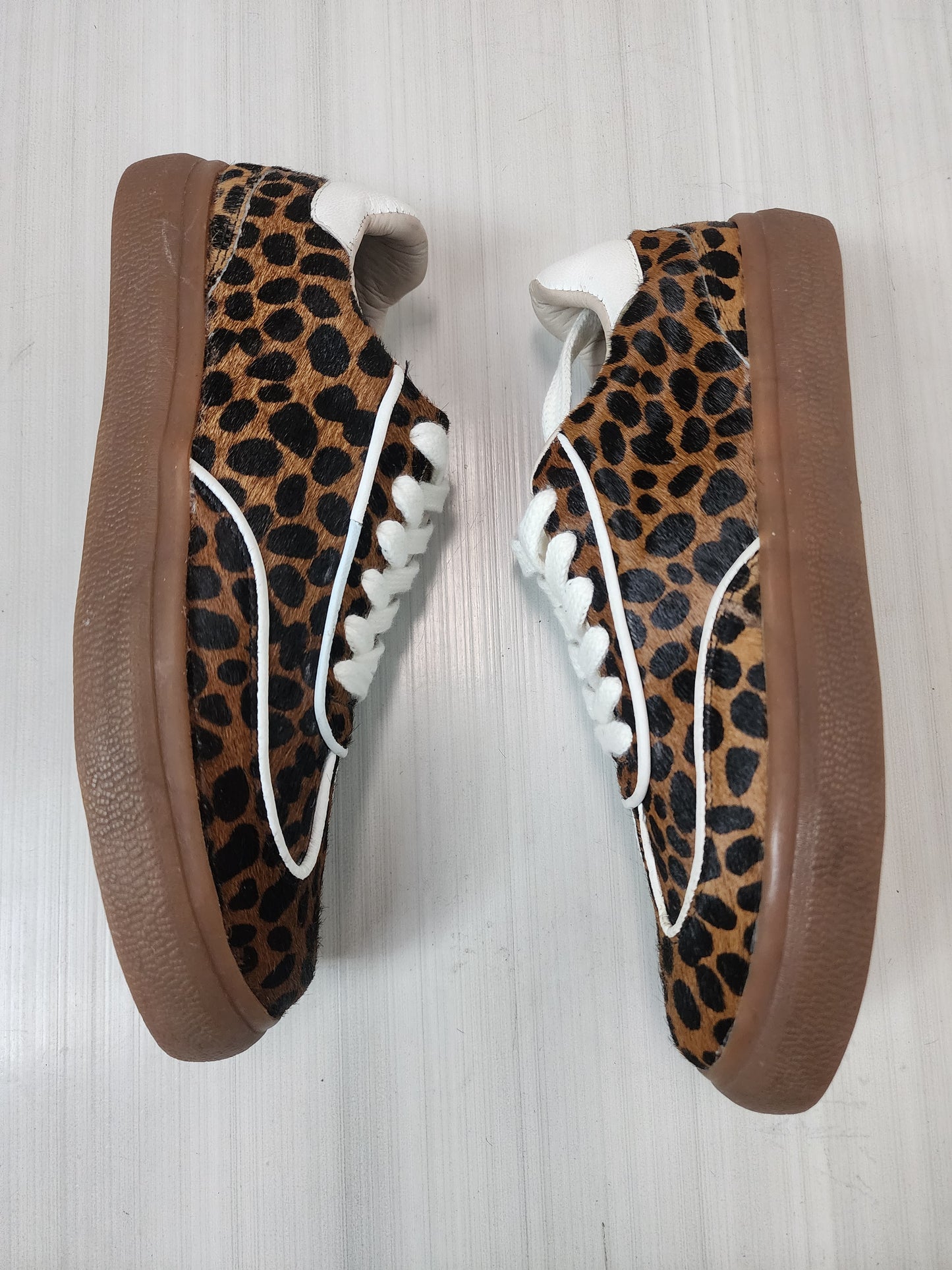 Safari
