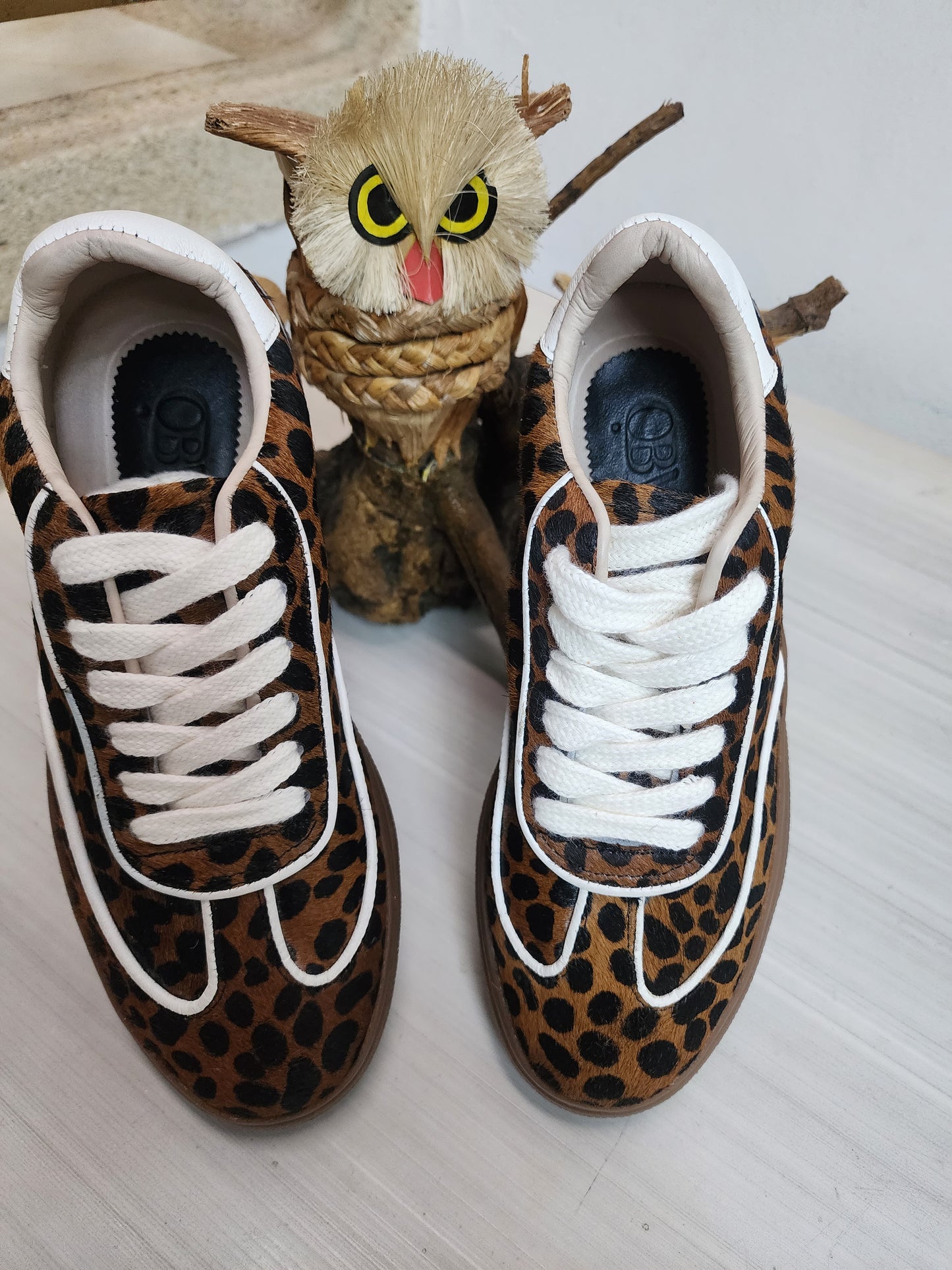 Safari