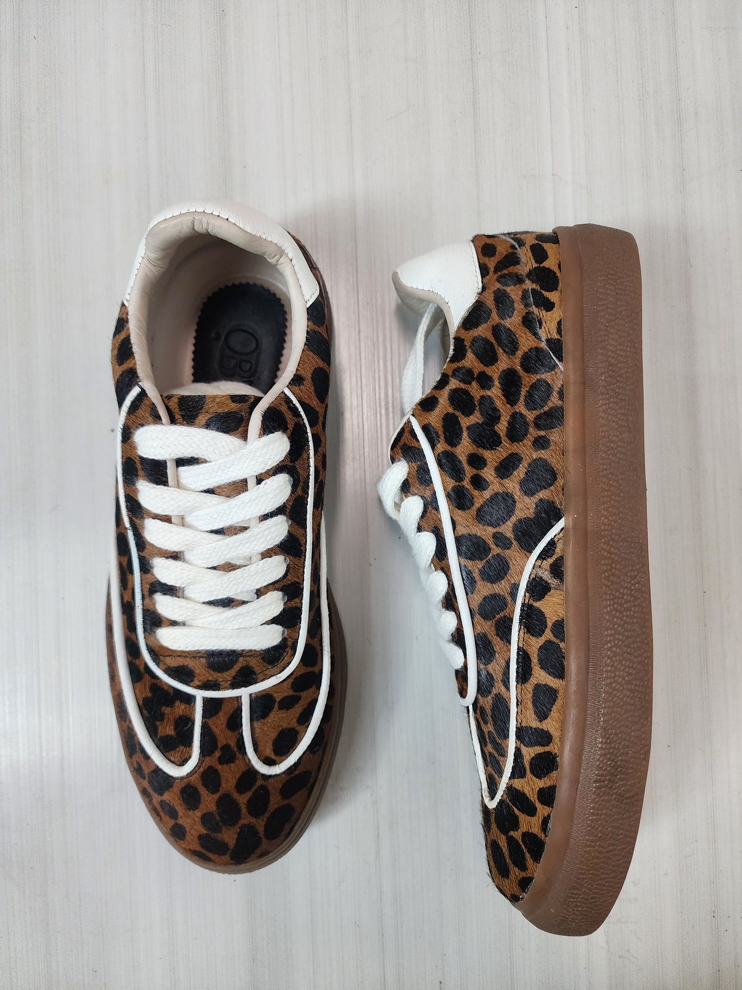 Safari
