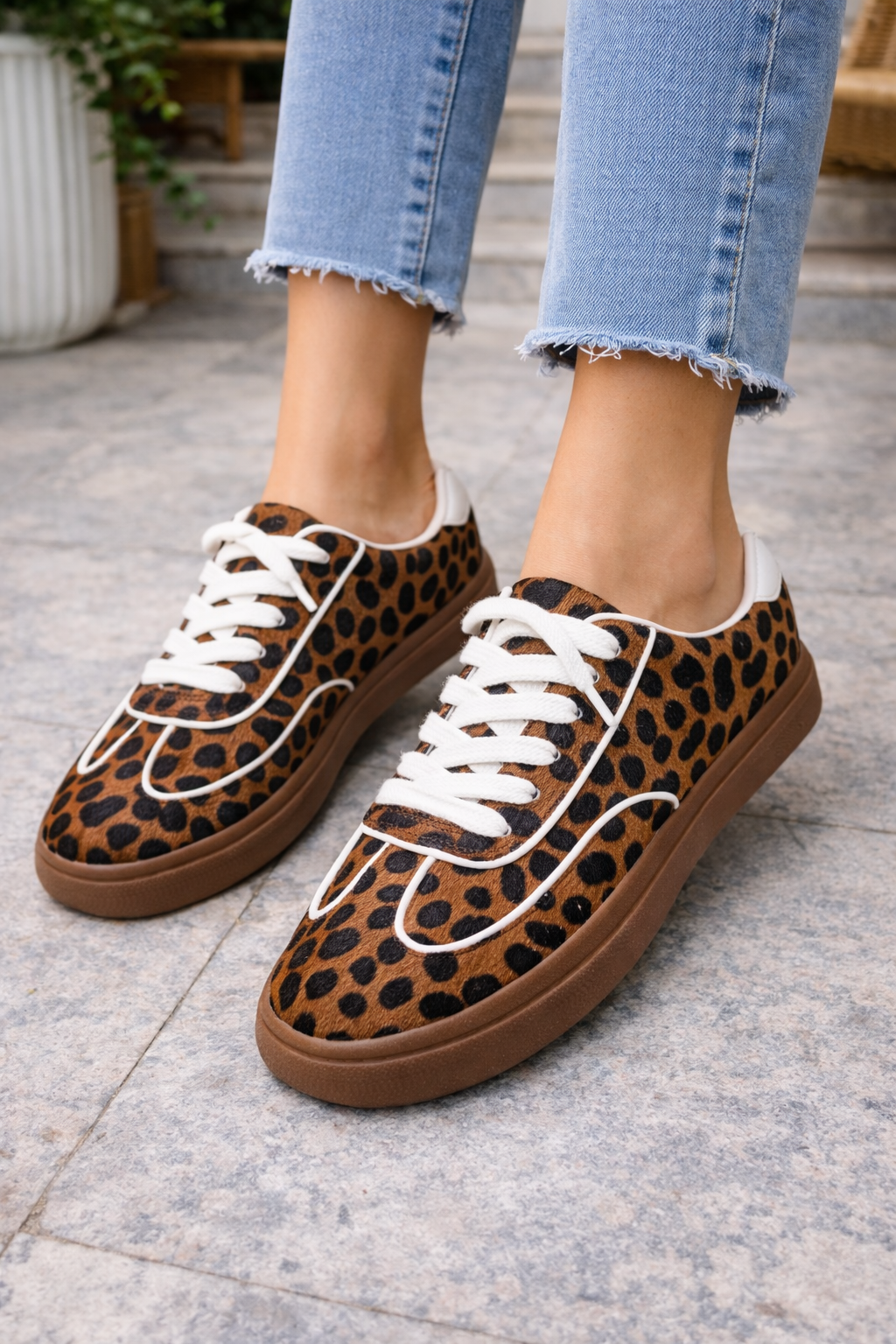 Safari